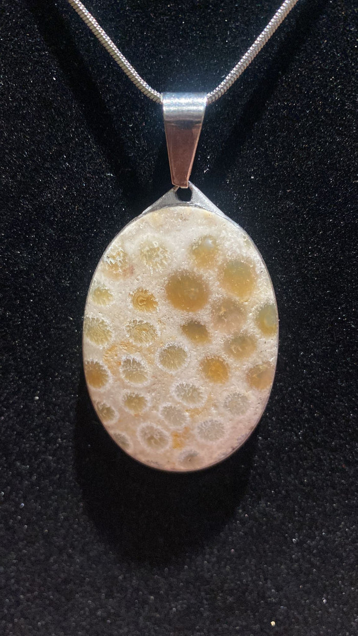 Fossilized Coral Oval Crystal Pendant (XL)